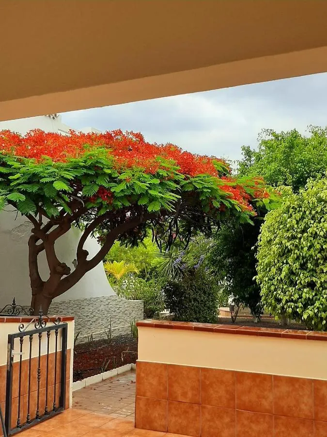 The Palms 2 Bed Duplex With Pool View Apartment San Miguel de Abona 0*,  Spain